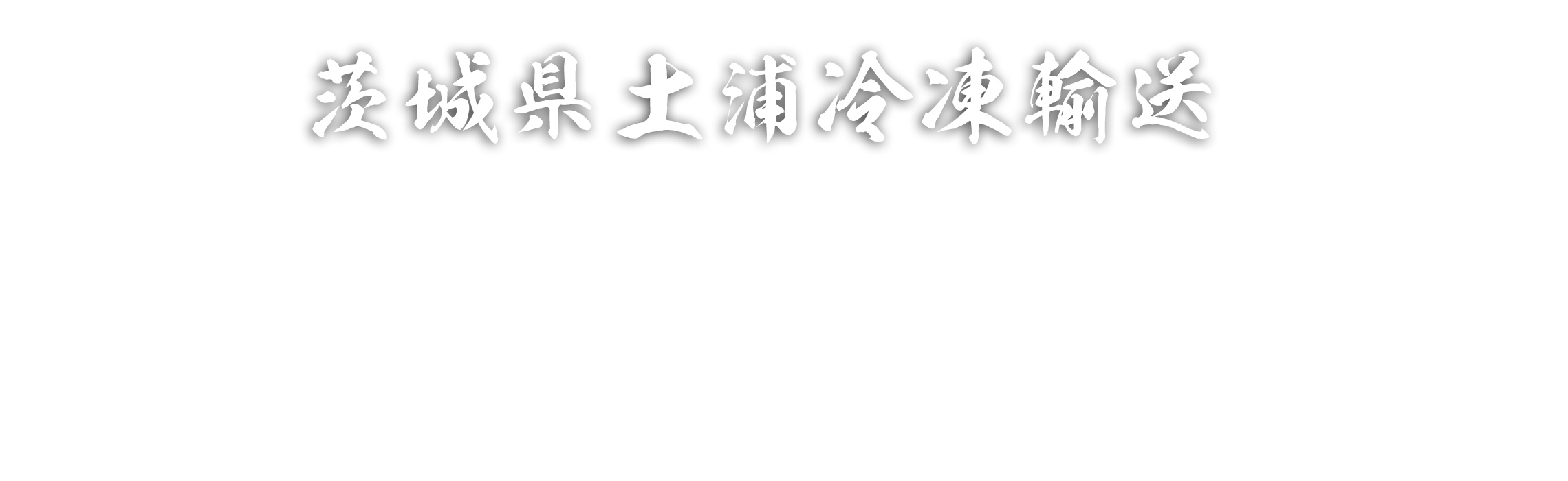 茨城県冷凍輸送 株 久江運輸 美照丸 久江水産荷役 運送トラック 輸送トラック 冷凍トラック